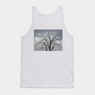 TREES THAT ARE MONKEY PUZZLING...? Tank Top